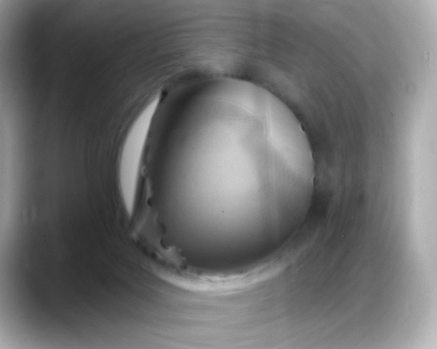 X0000088380027200706051107