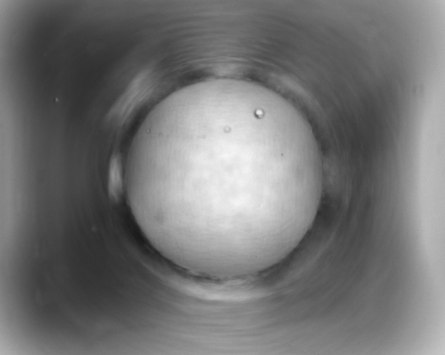 X0000088380028200706051107