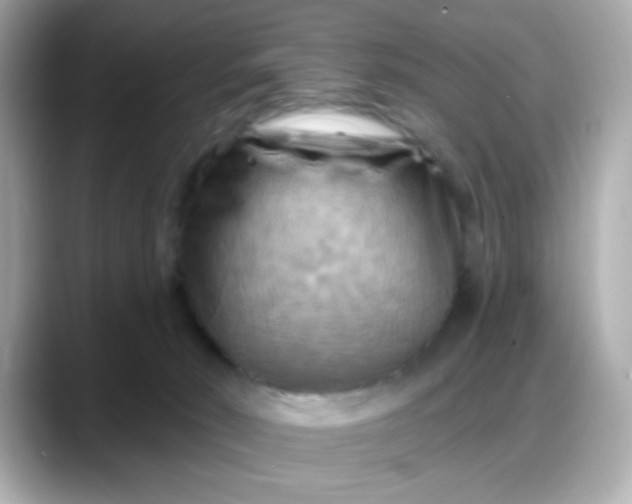 X0000088380030200706051107