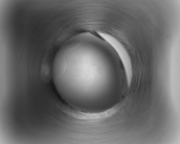 X0000088380031200706051107