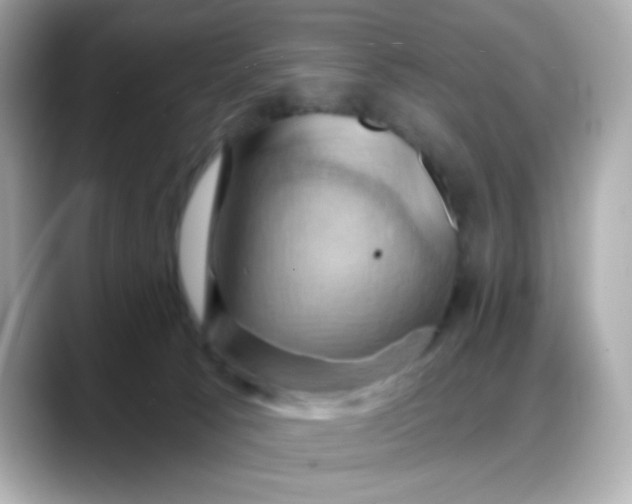 X0000088380033200706051107