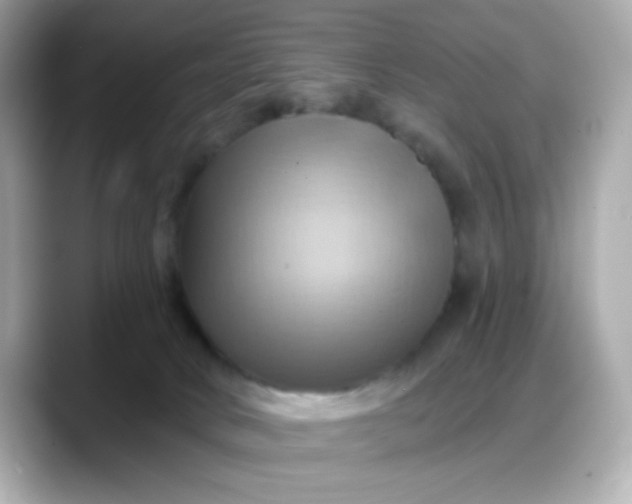 X0000088380034200706051107