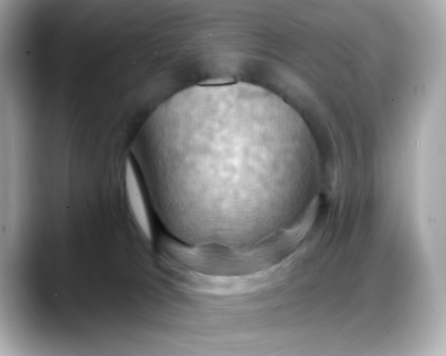 X0000088380037200706051107