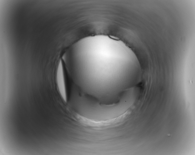 X0000088380039200706051107