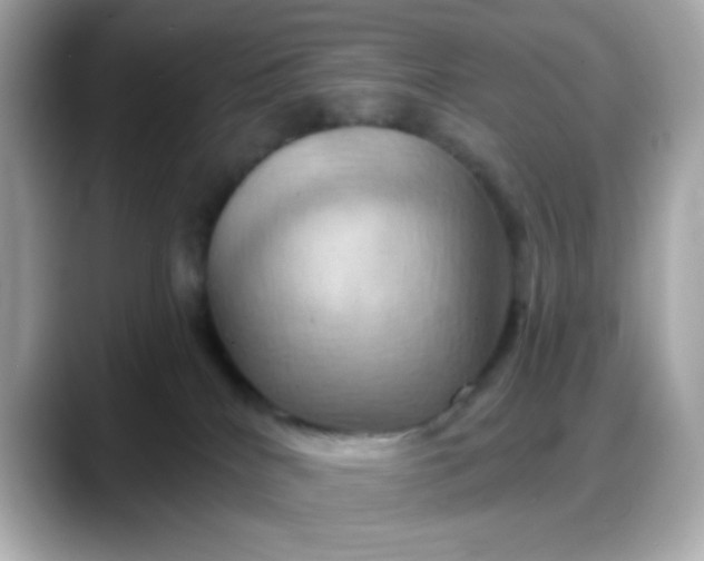 X0000088380040200706051107