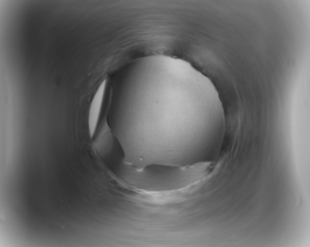 X0000088380041200706051107