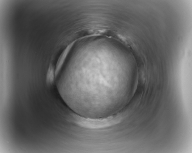 X0000088380042200706051107