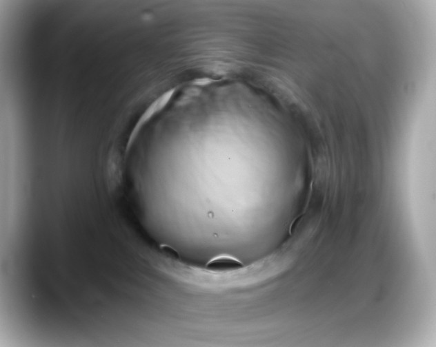 X0000088380043200706051107