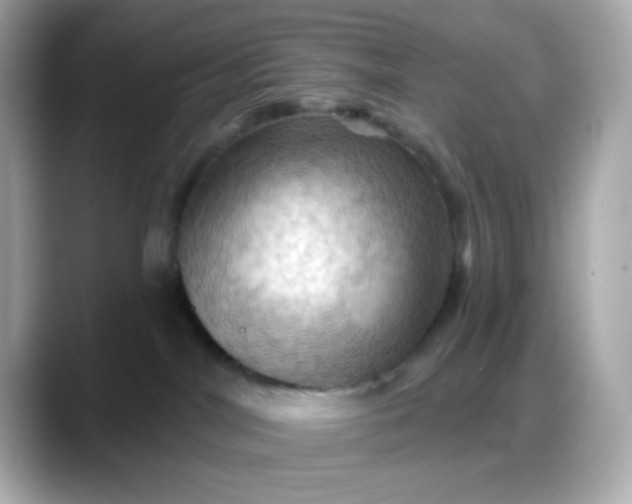 X0000088380044200706051107