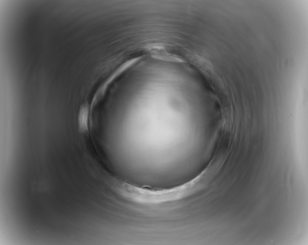 X0000088380047200706051107