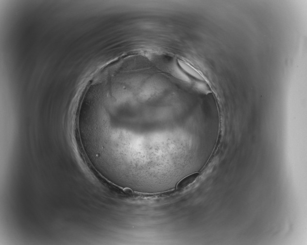 X0000088380049200706051107