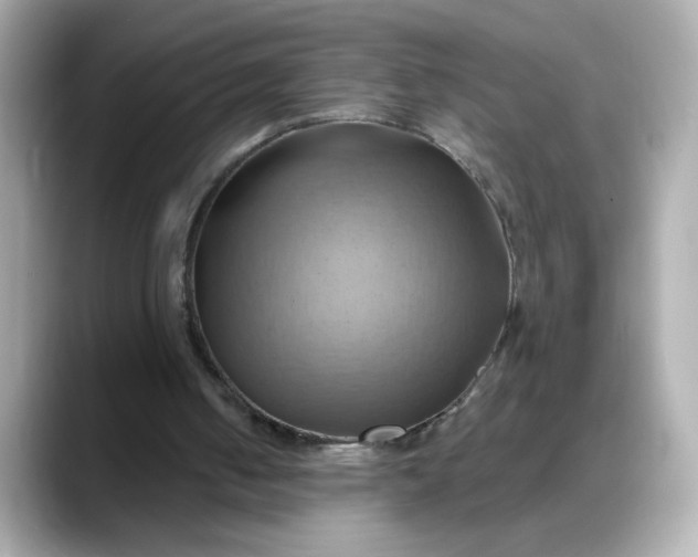 X0000088380050200706051107