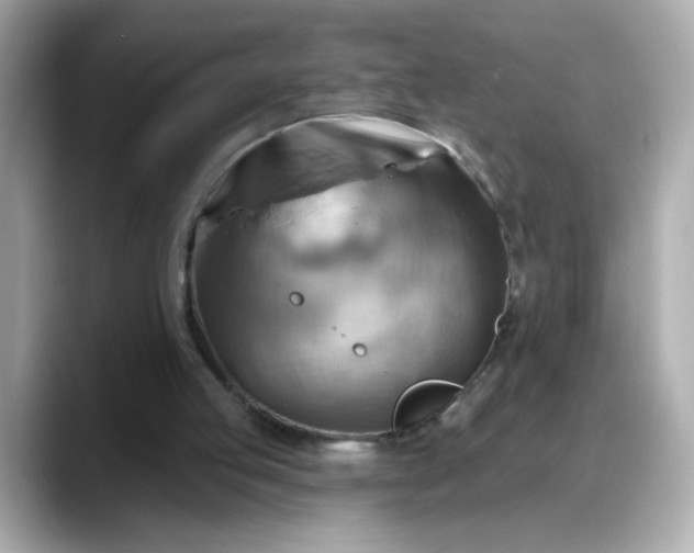 X0000088380053200706051107