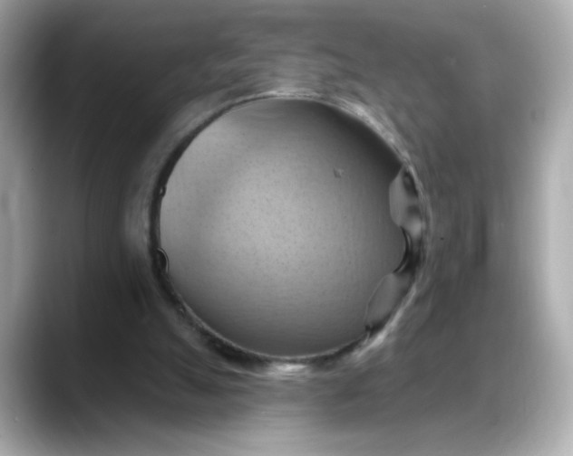 X0000088380055200706051107