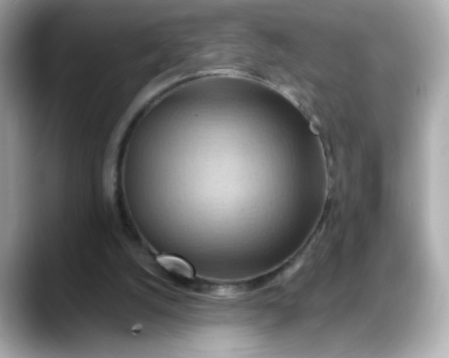 X0000088380056200706051107