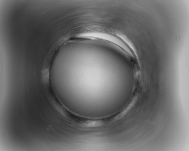 X0000088380057200706051107