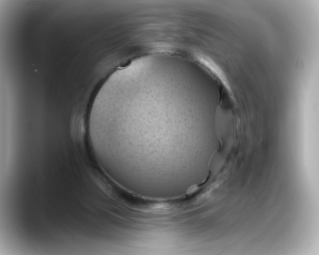 X0000088380059200706051107