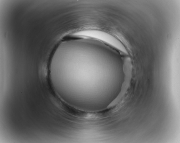 X0000088380060200706051107