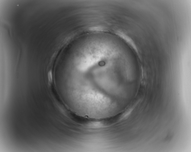 X0000088380061200706051107