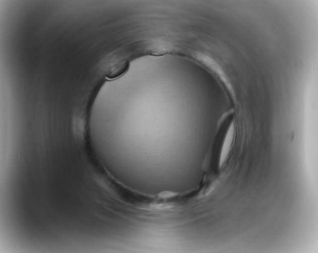 X0000088380063200706051107