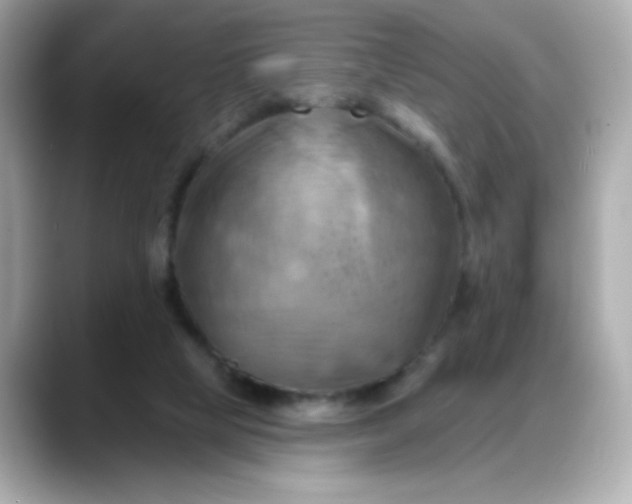 X0000088380065200706051107