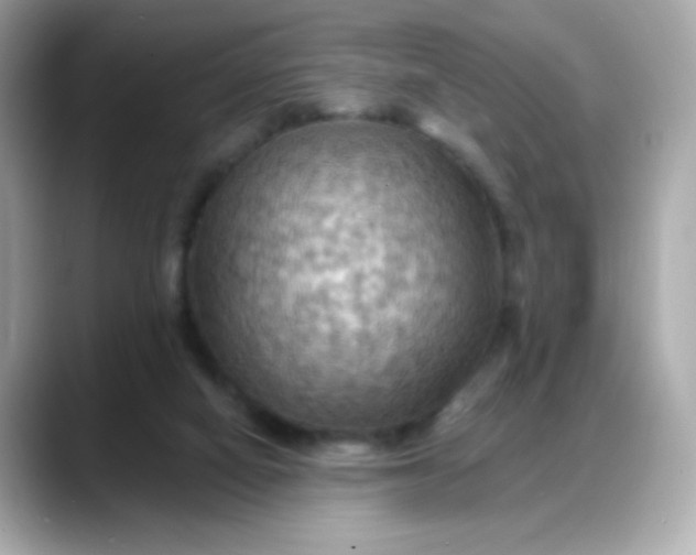 X0000088380066200706051107