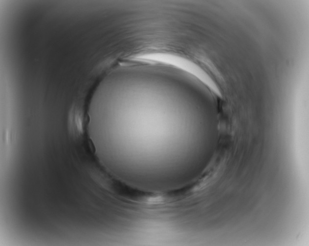 X0000088380068200706051107