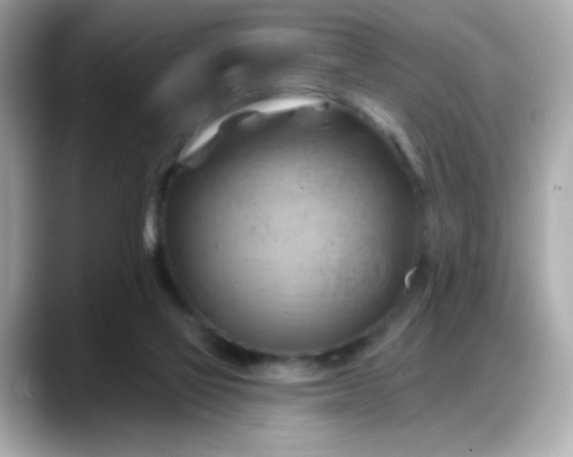 X0000088380069200706051107