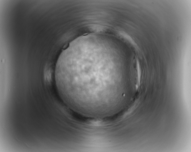 X0000088380071200706051107