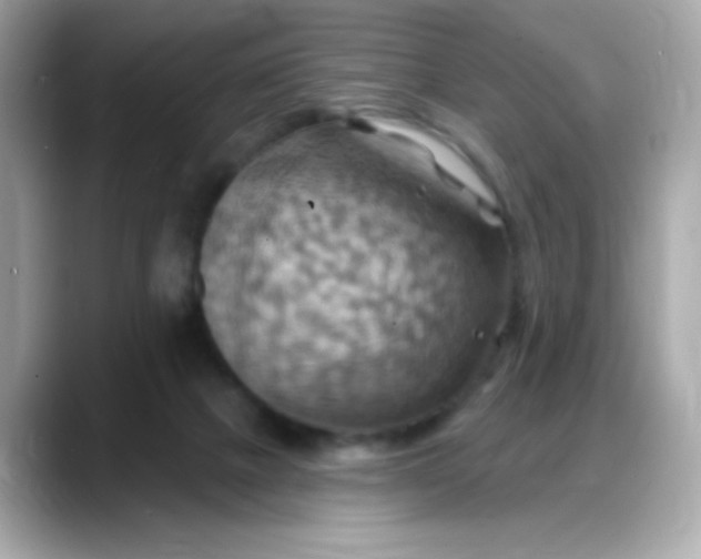 X0000088380073200706051107