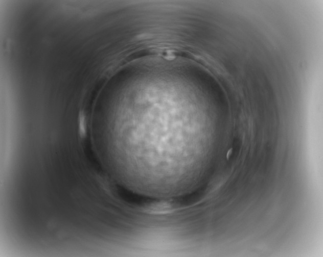 X0000088380075200706051107