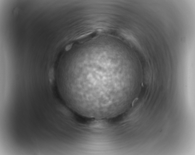 X0000088380077200706051107