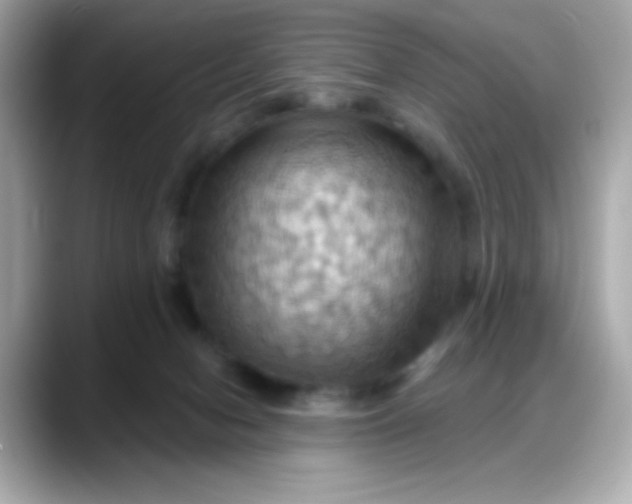 X0000088380078200706051107