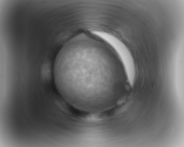 X0000088380080200706051107