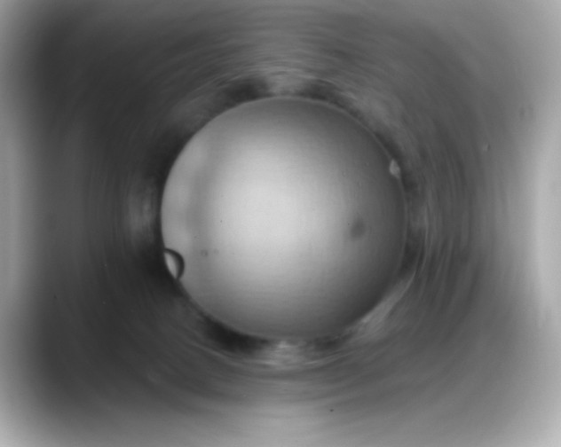 X0000088380082200706051107