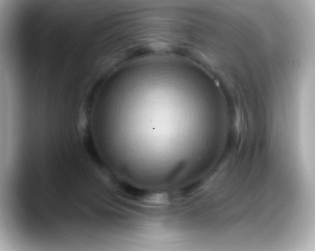 X0000088380084200706051107