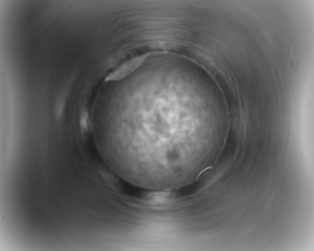 X0000088380089200706051107