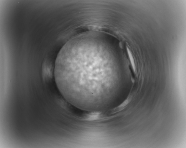 X0000088380090200706051107