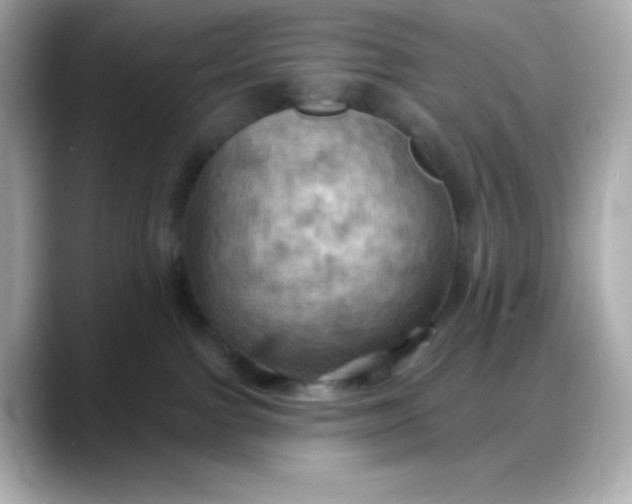 X0000088380091200706051107