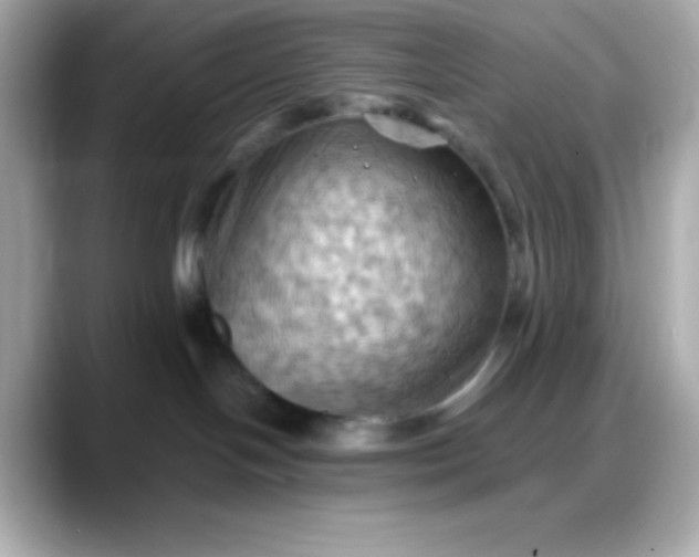 X0000088380094200706051107