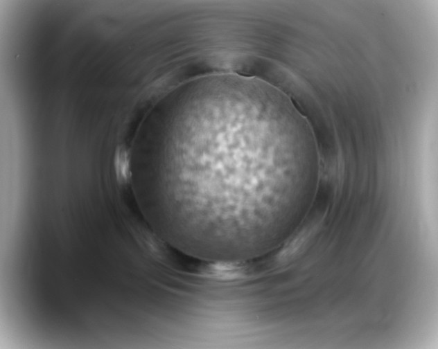 X0000088380095200706051107