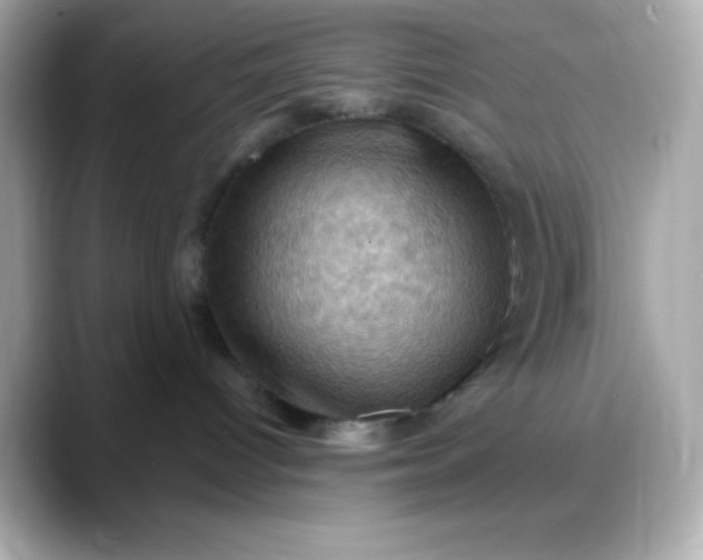 X0000088380096200706051107