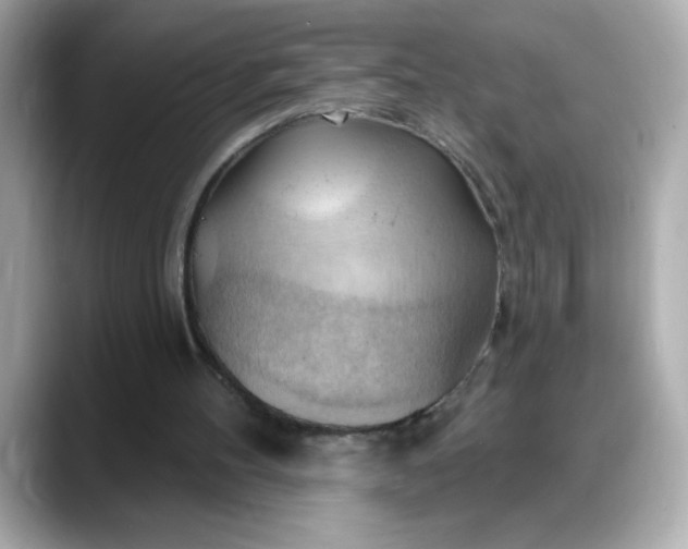 X0000088380100200706051107