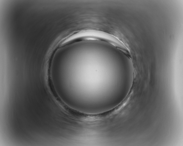 X0000088380101200706051107