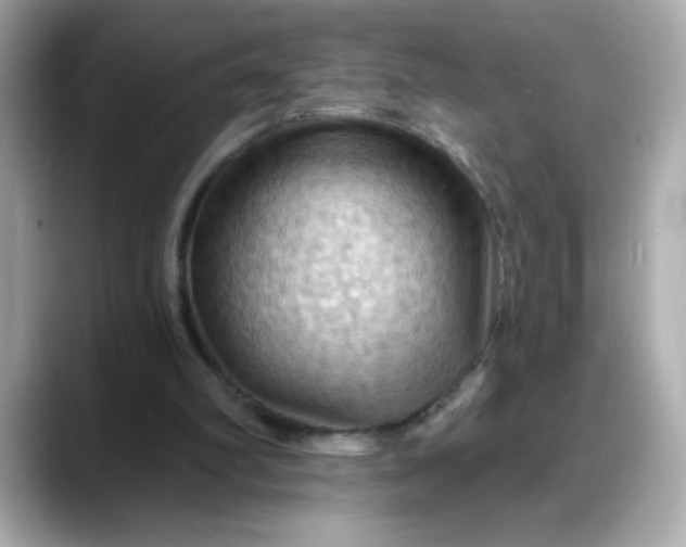 X0000088380102200706051107