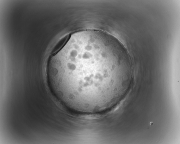 X0000088380103200706051107