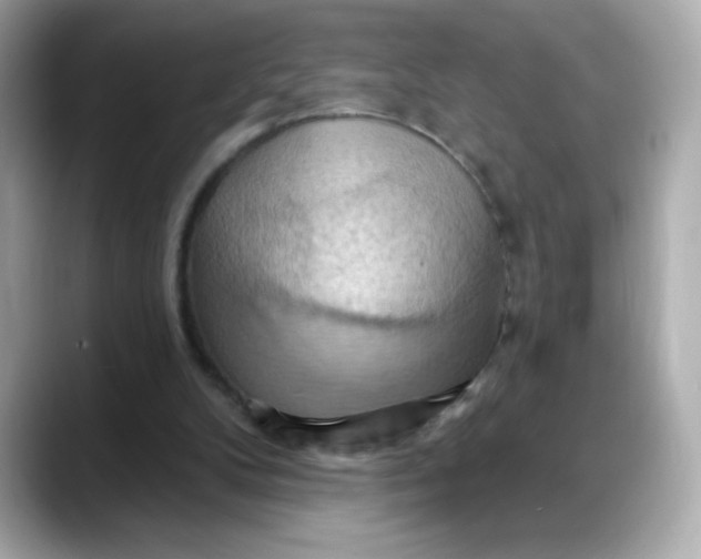 X0000088380104200706051107