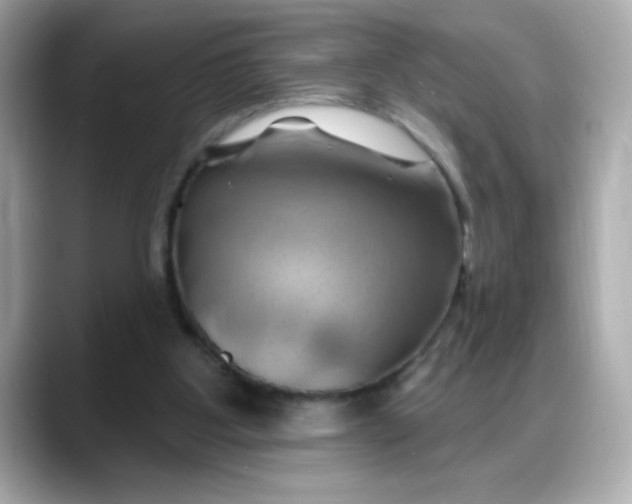 X0000088380107200706051106