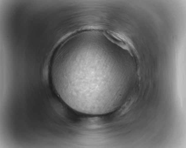 X0000088380108200706051106