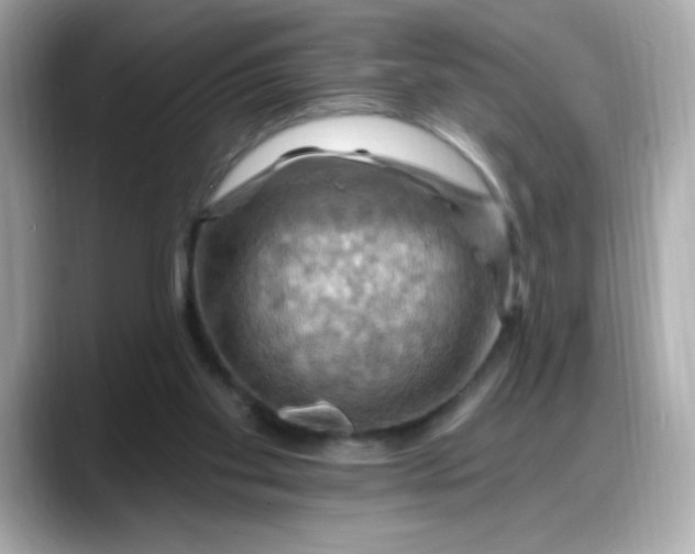 X0000088380109200706051106